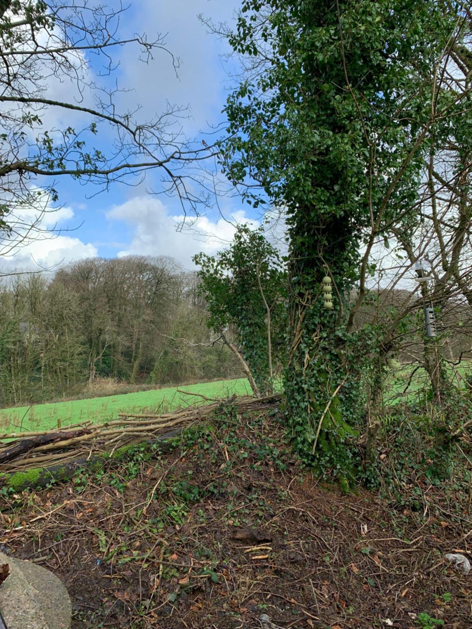 4 Devon Country, Bideford Bay Holiday Park Bucks Mills Экстерьер фото